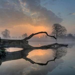 Meet your Posher, Nanci